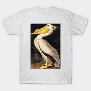 Bird of America  Bird, bird lover, america, beautiful  Public domain painting by John James Audubon T-Shirt